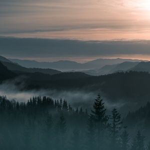 Meet your Posher, Mariam